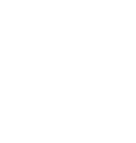 silas consulting