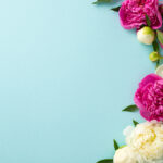 【コラム】右肩上がりのビジネスをするには、プロの手を借りた出版を