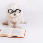 【コラム】読者目線で３大ポイントを押さえる