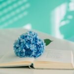 【コラム】本を出版した経営者へのインタビュー・郡司成江さん（ビューティアトリエグループ代表）